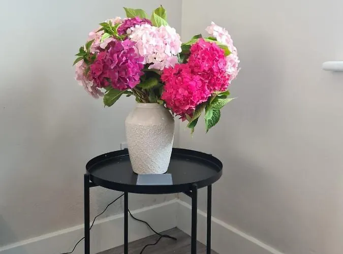 Dom wakacyjny Bay Area House, Spiddal