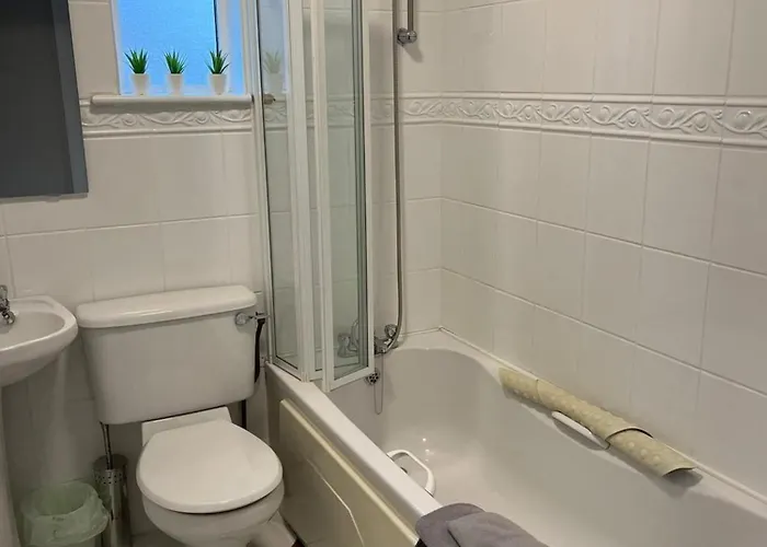 Bay Area House,
